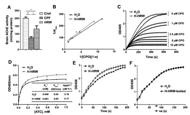 氢气生物学机理：氢气与乙酰胆碱酯酶
