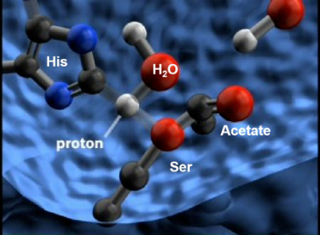 氢气生物学机理：氢气与乙酰胆碱酯酶