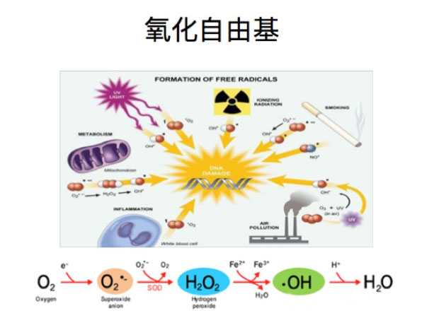 氢气改善疾。坑行В〖虻ィ”阋耍