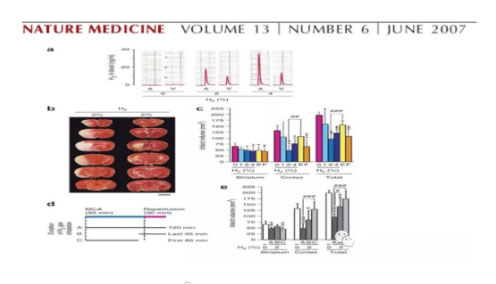 氢气改善疾。坑行В〖虻ィ”阋耍