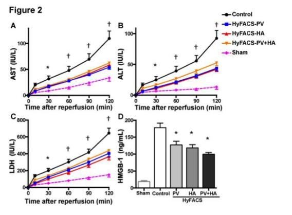 氢气保护肝脏的研究实验，值得一看！