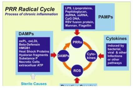 氢气对慢性疲劳综合征的神奇效果如何？