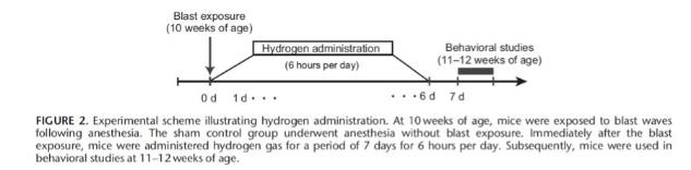 对脑爆伤，氢气也能担当！