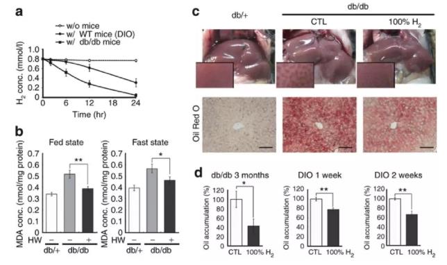 氢气对减肥有作用吗？氢水减肥效果图