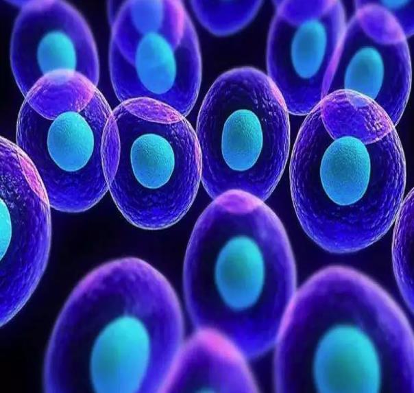 对付脑损伤，氢气和干细胞强强联合！