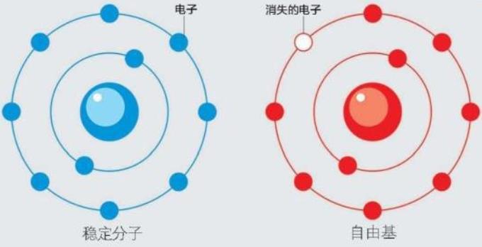 南方都市报：广州肿瘤专家还用“氢”控癌