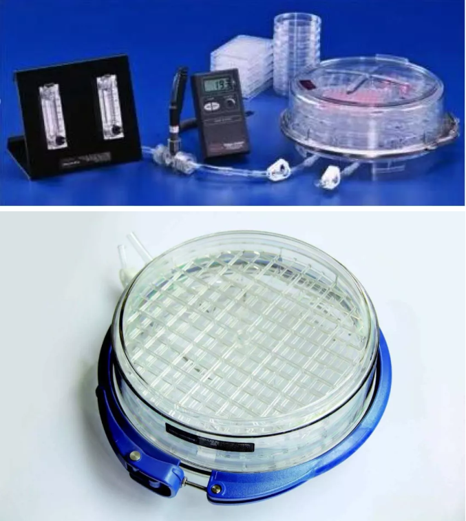 北里大氢气细胞学：氢气对心肌细胞氧化损伤的保护作用