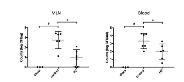 肠菌移位严重，氢气对抗轻松