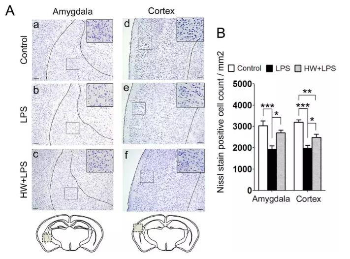 氢水能保胎吗？氢水能让孩子长期受益？