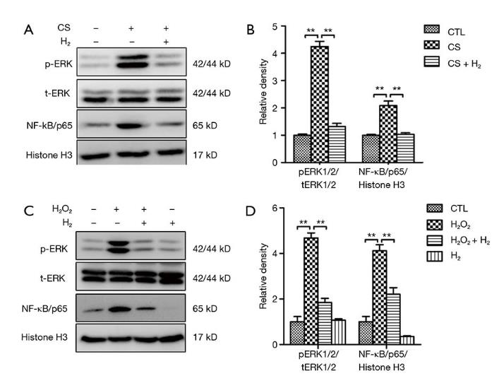 呼吸病教授：氢气改善慢阻肺