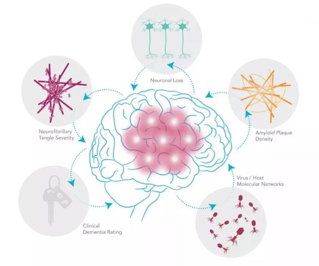 痴呆是因病毒，氢气有效什么道理？