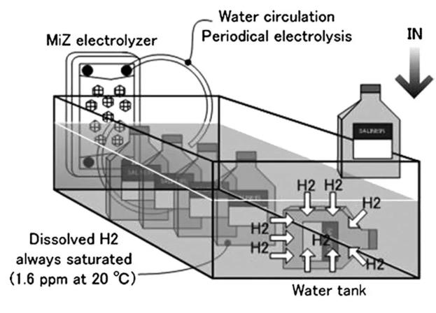 氢气能有效保护肾脏，避免受损！