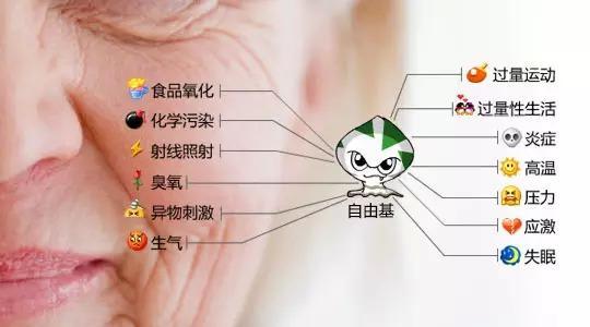 分子氢为什么具有抗衰老作用？