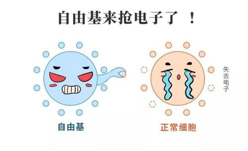 自由基为什么能诱发疾。客ü男┩揪兜贾录膊》⑸