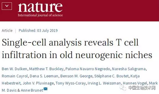 免疫细胞攻击老人大脑，氢气能阻止吗？