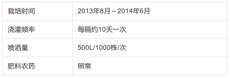 如何用电解水让农产品提质增产？日本是这样做的