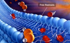 氢气也是自由基吗？氢原子有一种天然美德恰好被生物系统巧妙利用