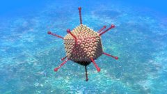 干细胞基因疗法很美妙，氢气医学更现实更可靠