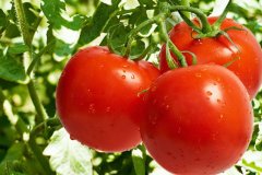 不仅保鲜，氢气还能减少农药残留致癌物