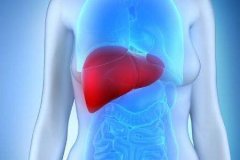 氢水调节脂肪肝，氢量代表剂量，剂量决定效果！