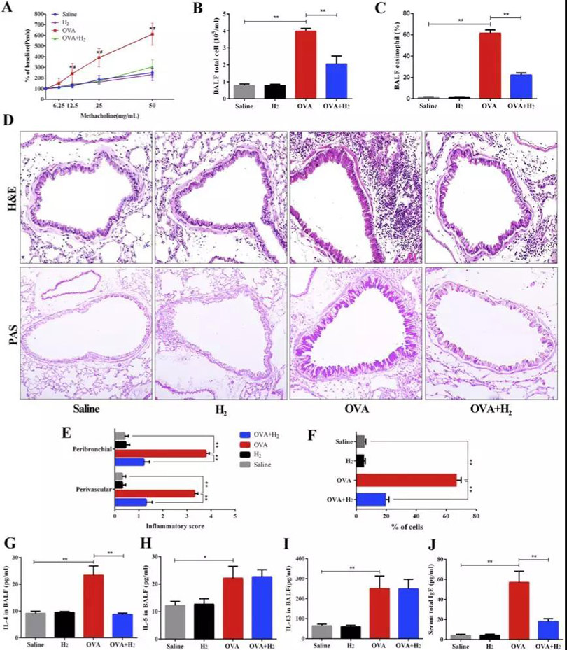 红色为哮喘，蓝色为氢气治疗