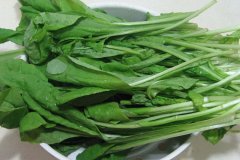 高端：日本氢水在农业中的应用