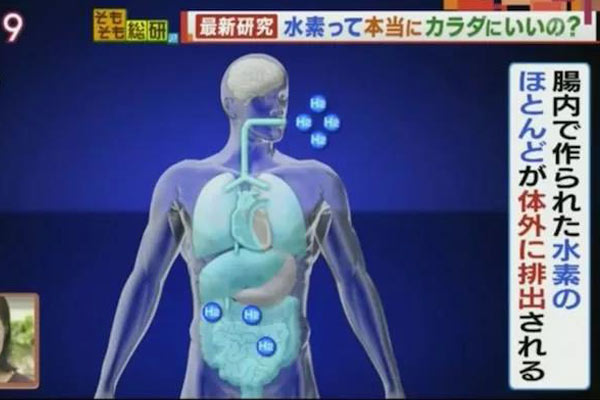 肠道细菌产生的氢气非常微量，人体大部分的部位无法受益