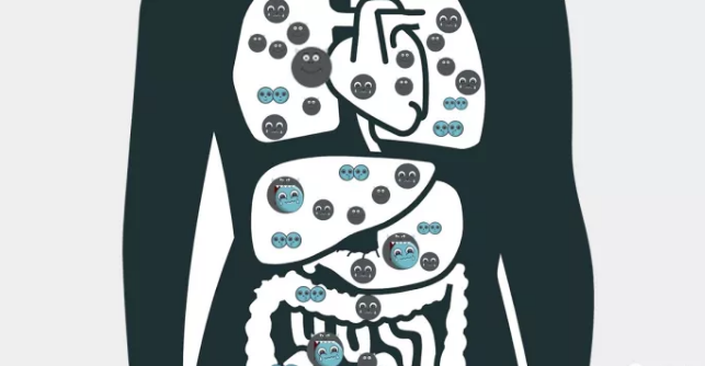 【氢分子·科普】氢分子的手下败将：恶性自由基——人体生病的根源(图4)