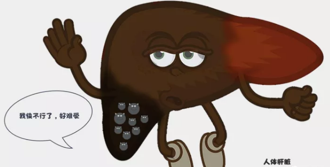 【氢分子·科普】氢分子的手下败将：恶性自由基——人体生病的根源(图6)