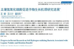 氢肥料：能消化氢气的土壤细菌是好菌！